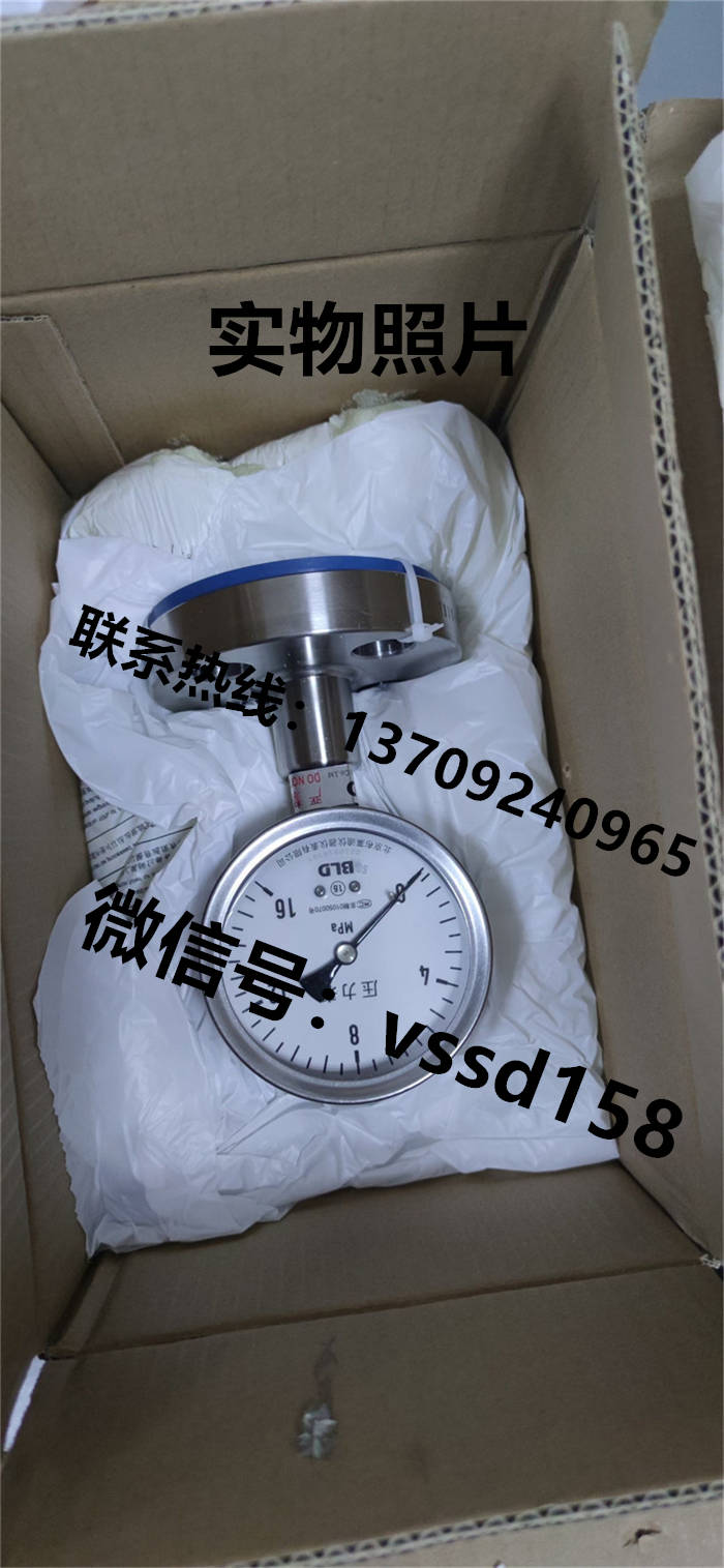 北京布莱迪BLD&brighty 隔膜压力表YTNP-100.A0   PYTH-100 (2)