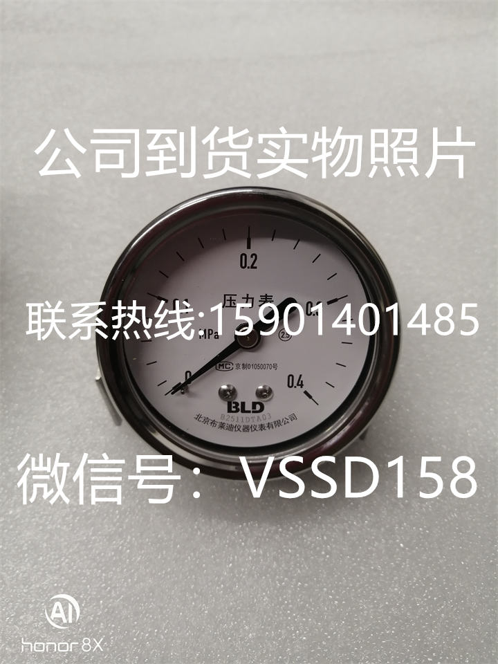 北京布莱迪BLD&brighty 压力表YTH-063.ZK  0-04MPA   M141 (2)
