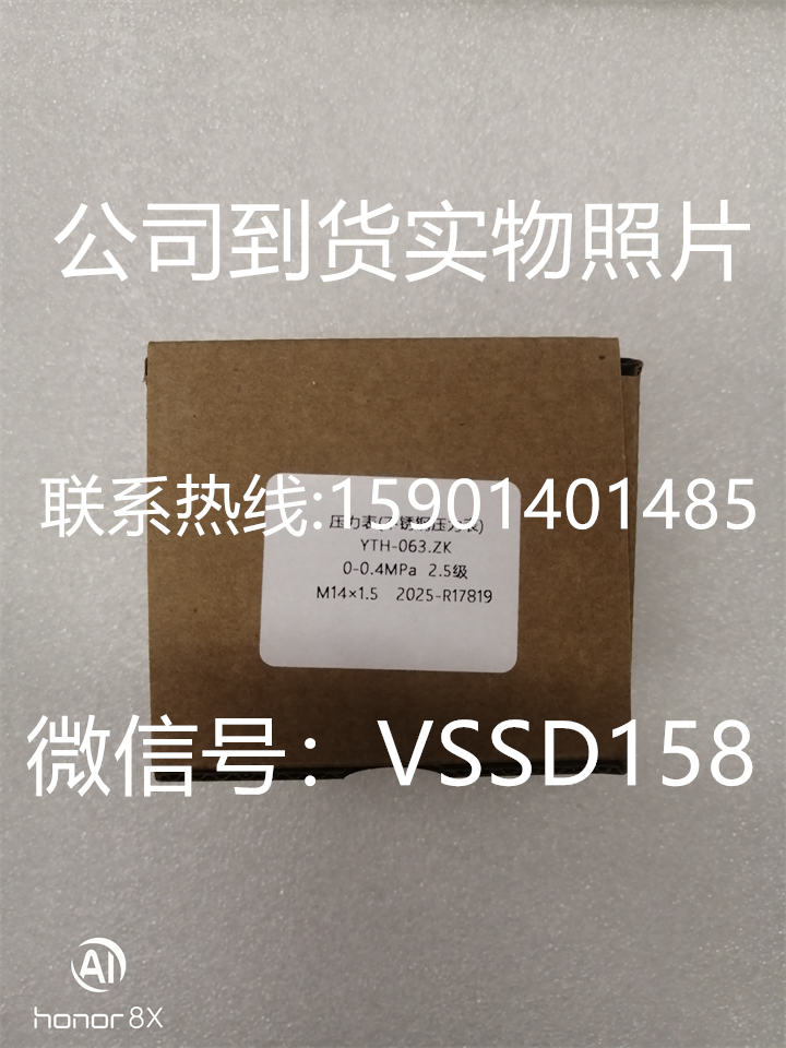 北京布莱迪BLD&brighty 压力表YTH-063.ZK  0-04MPA   M141 (6)